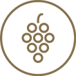 Journée découverte des vins de 9h00 à 15h00  - Logo